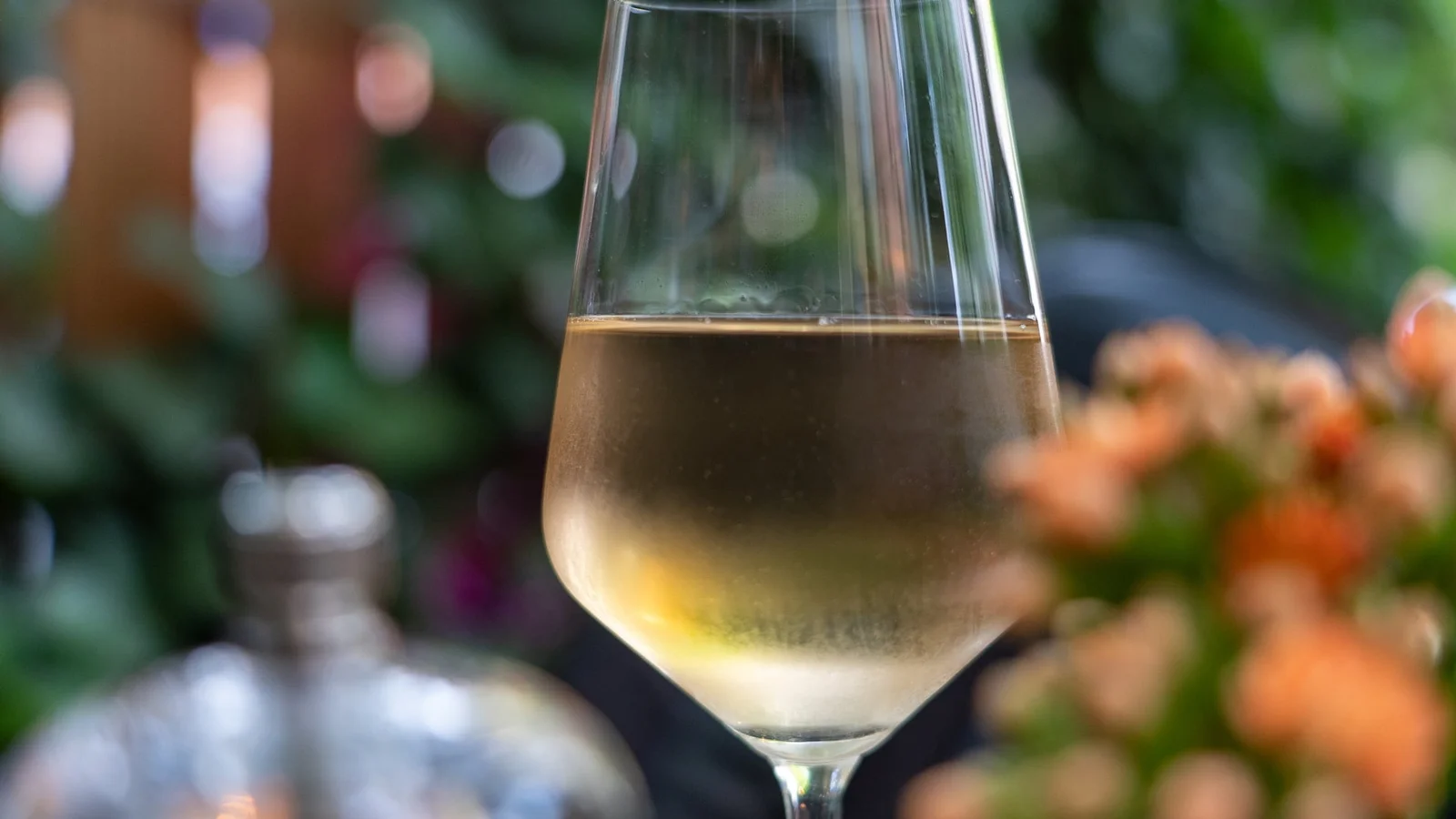 Få et sidste strejf af ferie med portugisisk hvidvin fra Vinspecialisten Middelfart