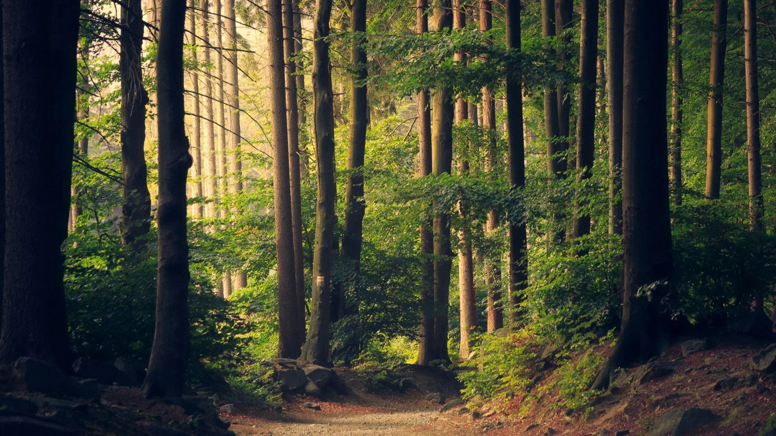 Stort millionbeløb på vej til Naturpark Lillebælt
