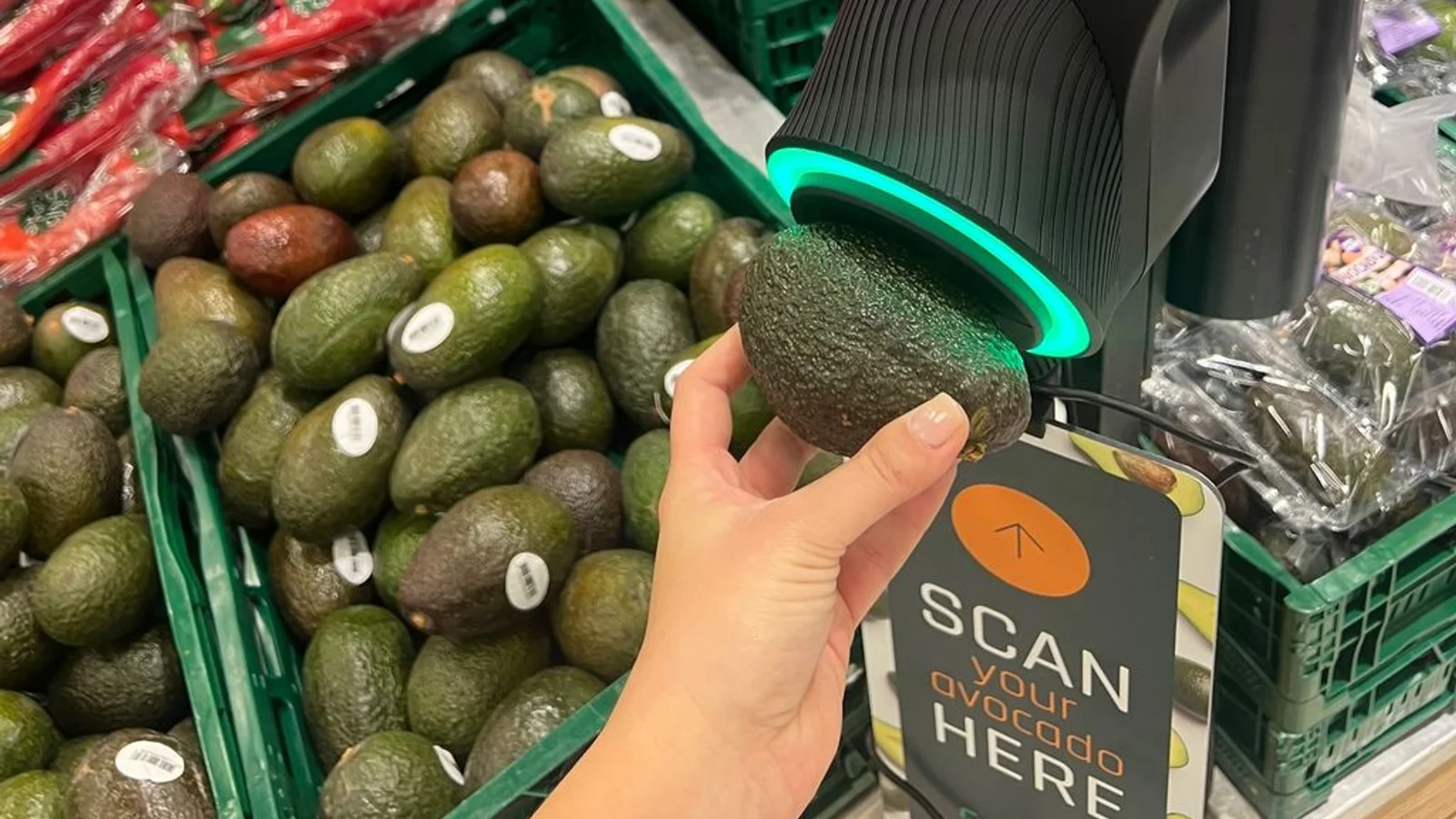 Efter vellykket testperiode: Avocadoscanner kommer nu i alle Bilka-varehuse