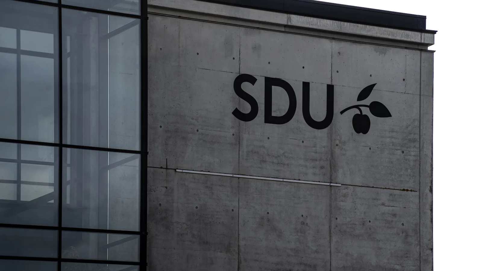 SDU vil uddanne sundhedsøkonomer til velfærdens svære prioriteringer