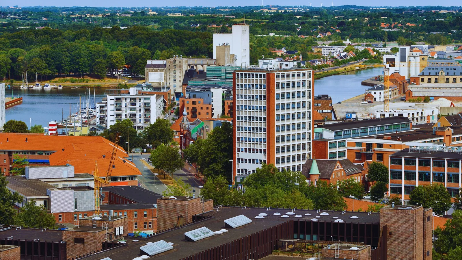 Mere socialt bedrageri bliver opdaget i Odense Kommune