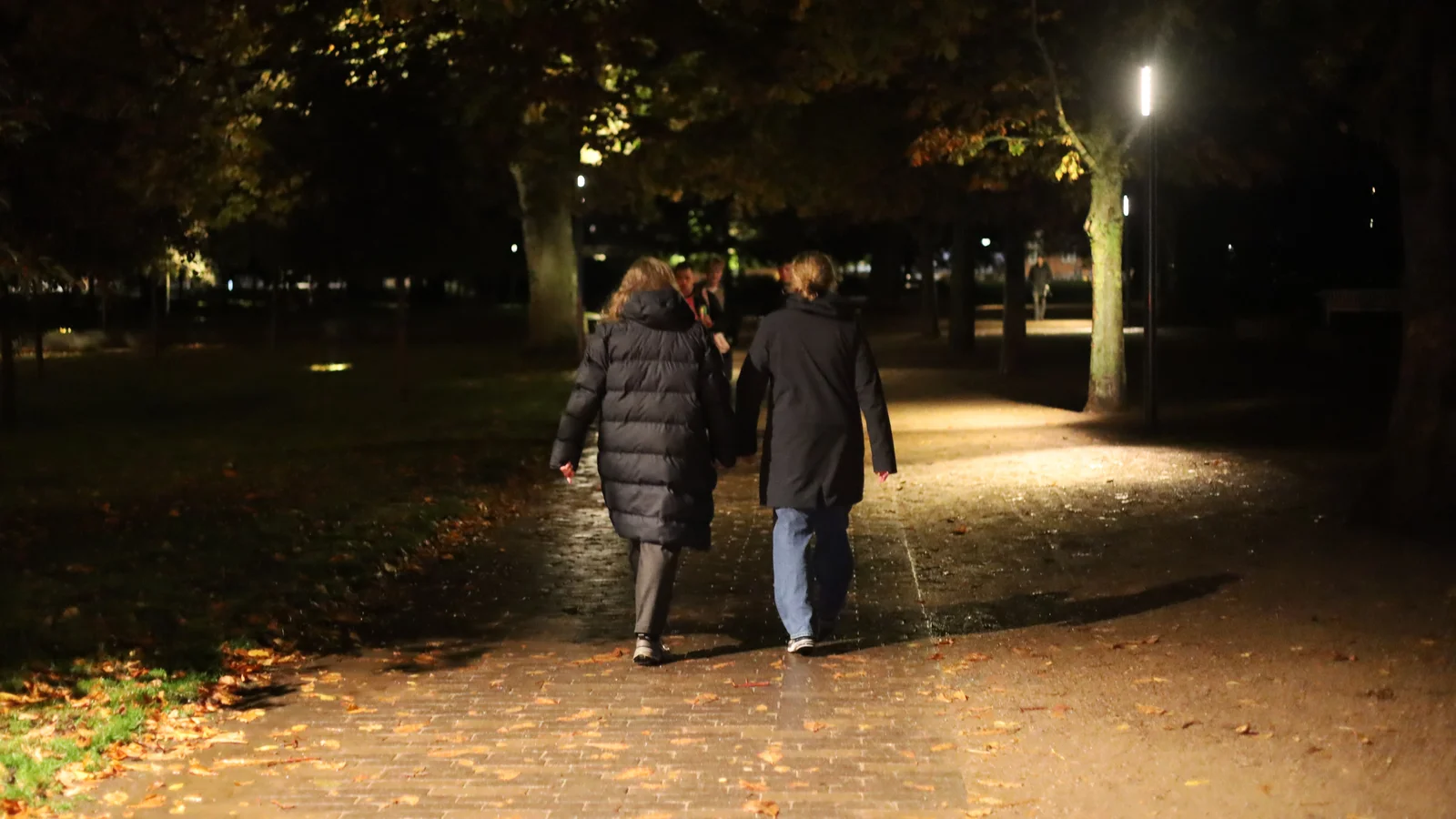Nu er ny belysning klar i Kongens Have: Mere tryghed og et smukkere indtryk