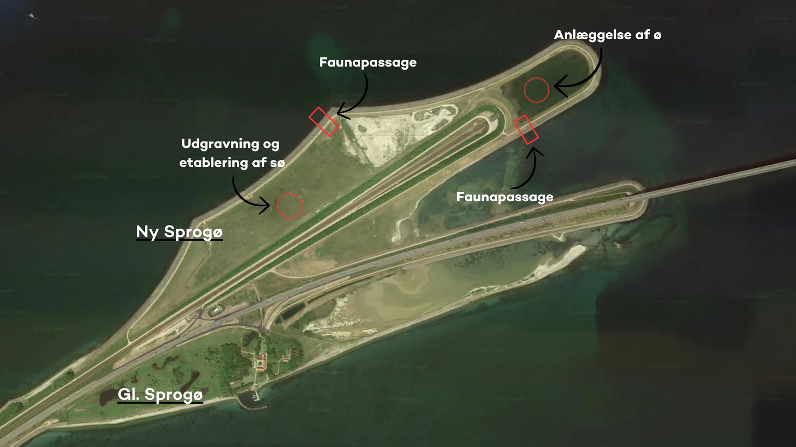 En ny ø på tippen af Sprogø skal skabe flere ynglesteder for beskyttede fuglearter