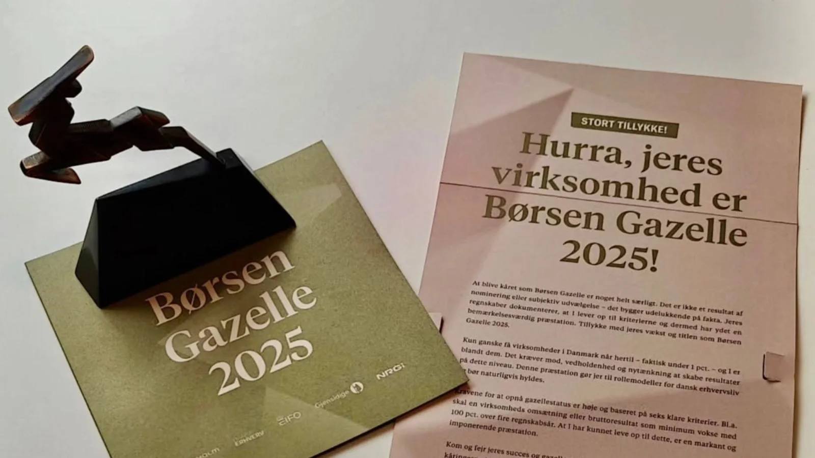 Bønnelykke El modtager Børsen Gazelle for andet år i træk