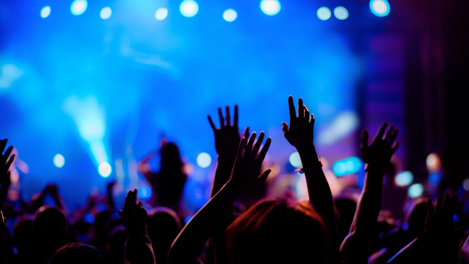 Ny endagsfestival i Odense sætter fokus på fremtidens danske musik