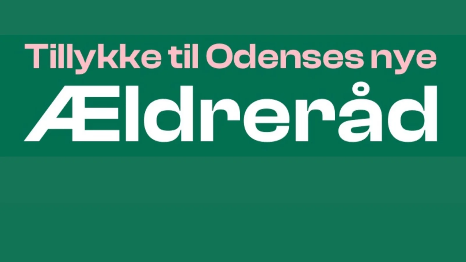 Der er valgt et nyt Ældreråd i Odense