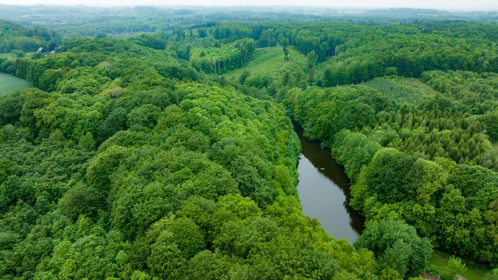 Eventyrsports kunder donerer vild natur i Hesbjerg Skov ved Odense