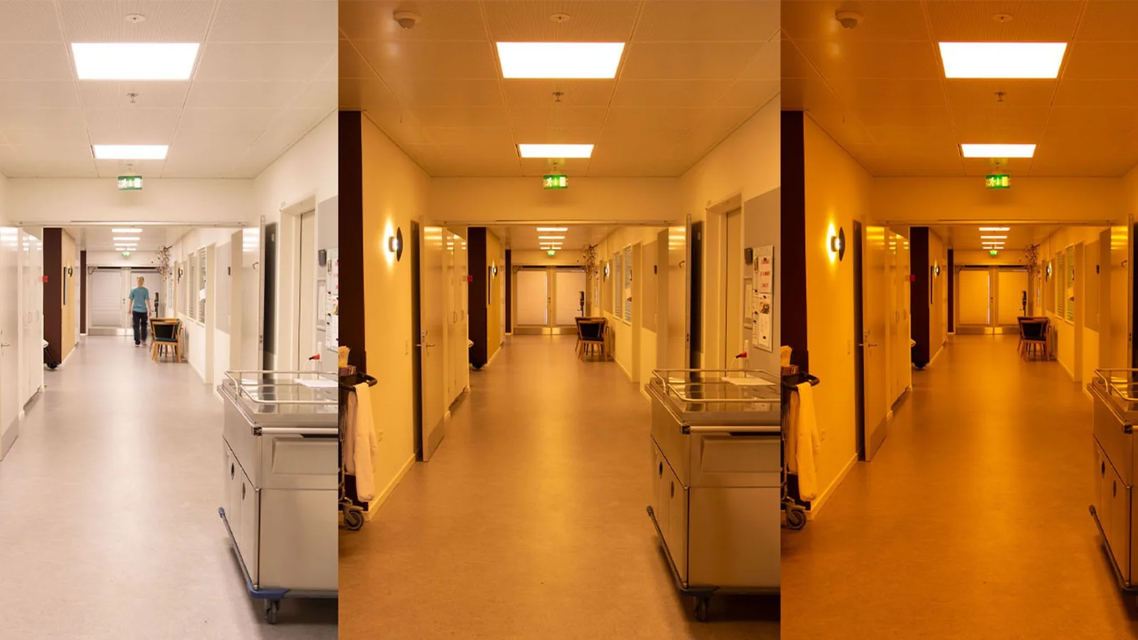 Fynsk virksomhed er bag specialbelysning på Hammel Neurocenter