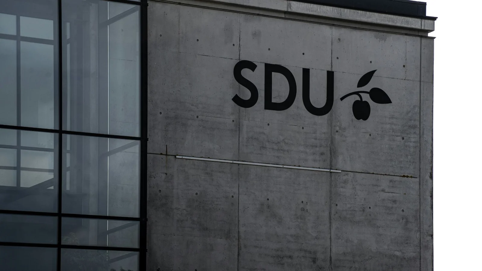 Ny kandidatuddannelse på SDU skal styrke sygeplejerskers rolle i borgernære behandlingsforløb