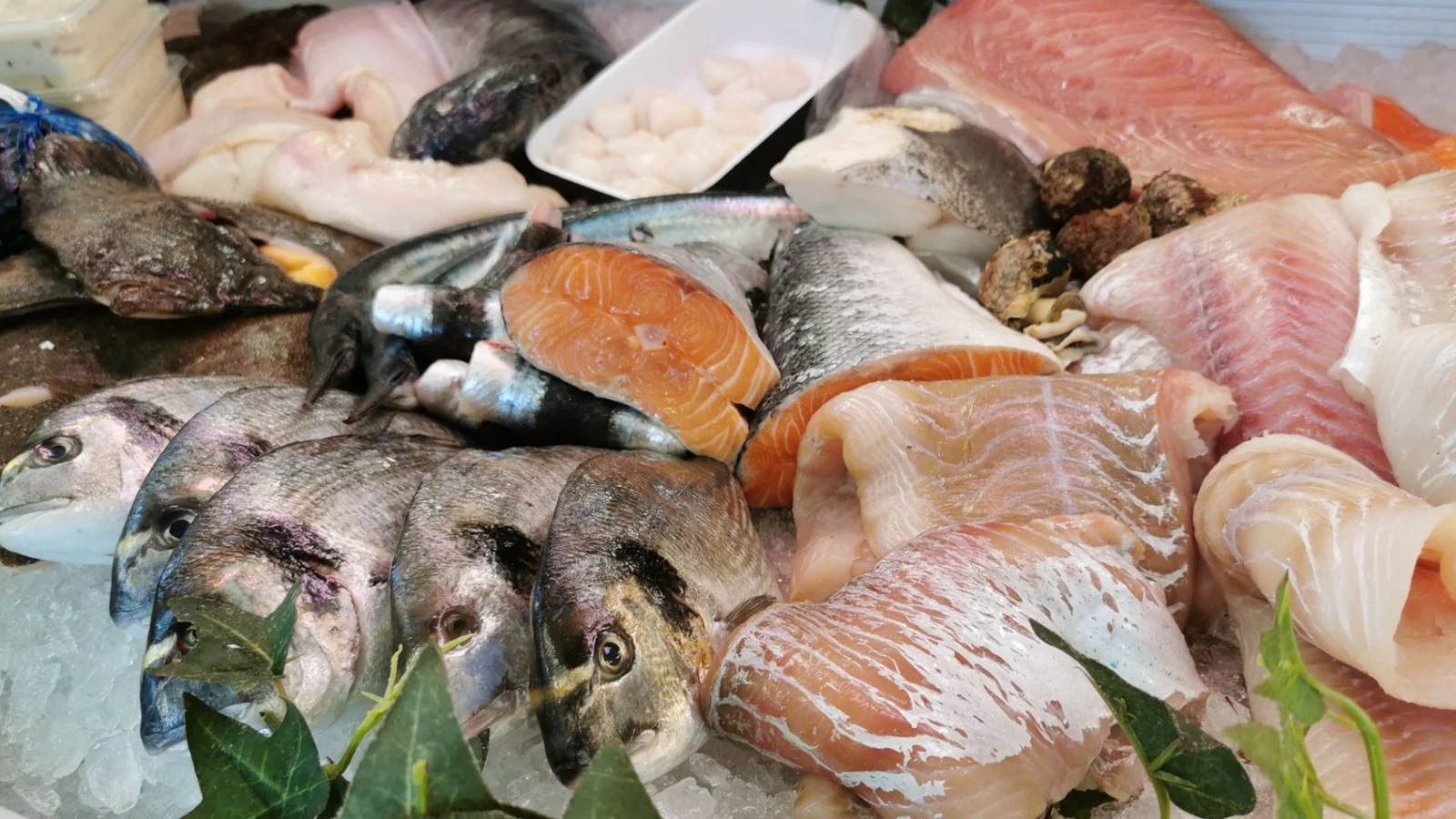 Snart er der Grand Opening hos Møllers Fiskehus Odense