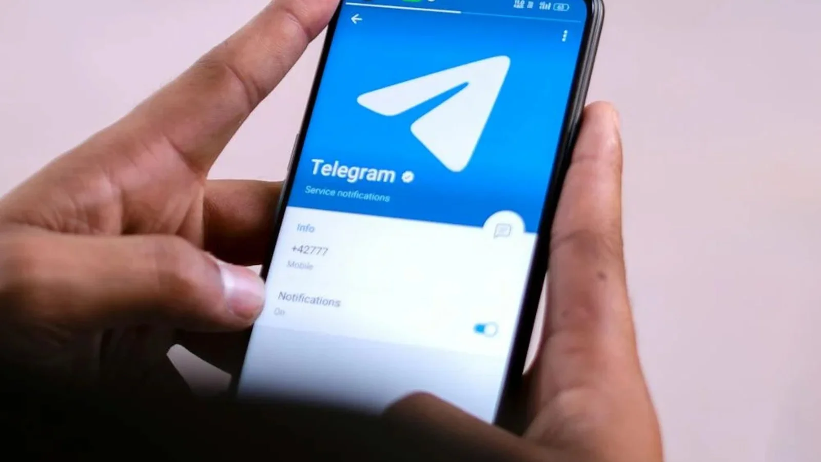 Vold, porno, sladder og stoffer deles blandt Odenses unge på Telegram
