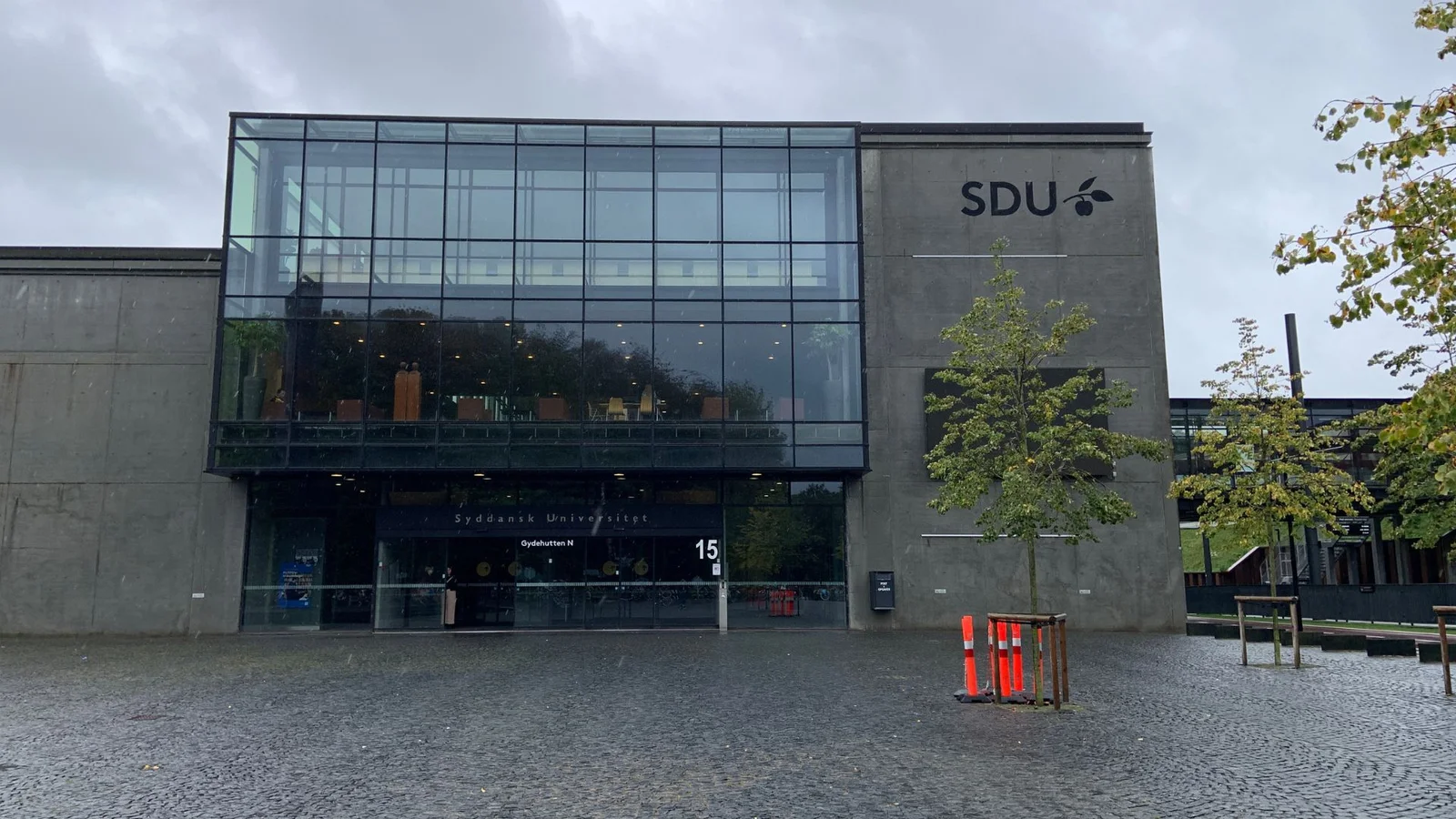 Stærk interesse for SDU’s uddannelser