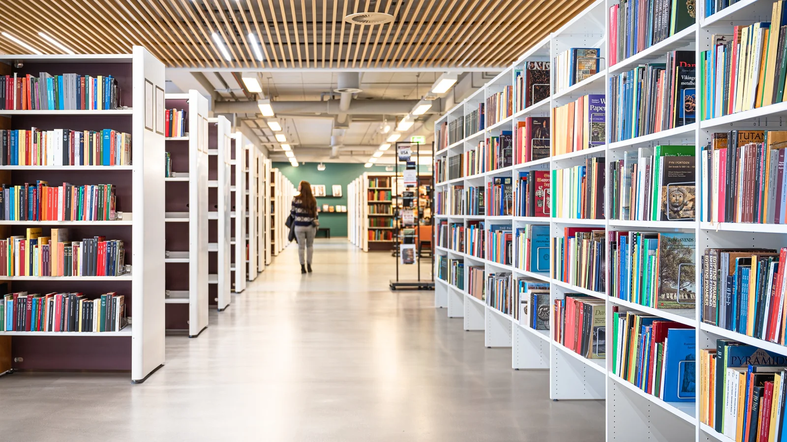 Læseglæde og digital dannelse: Kulturministeriet udmelder ambitioner for centralbibliotekernes arbejde i 2025-2028