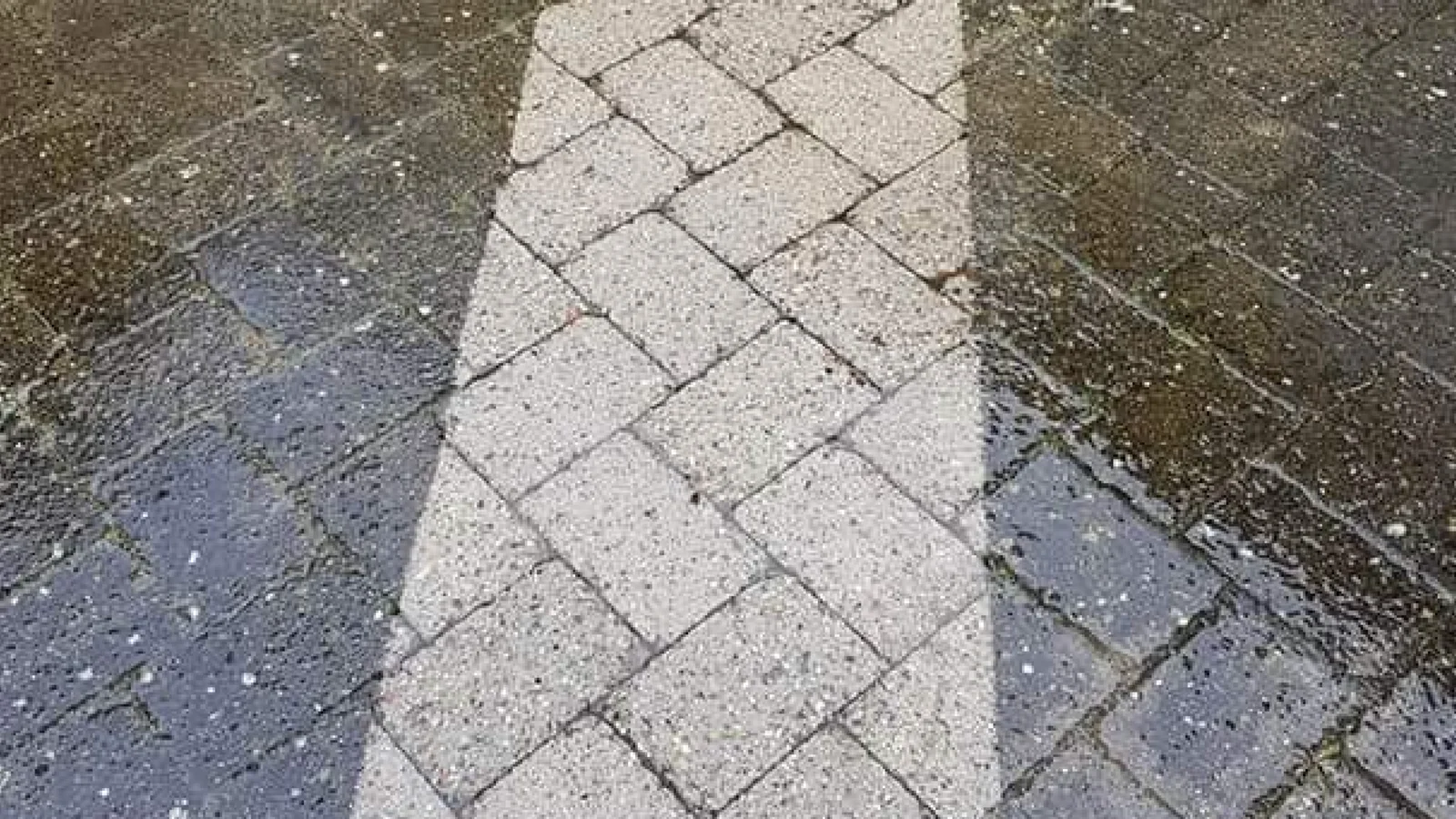 Forårstilbud på fliserens