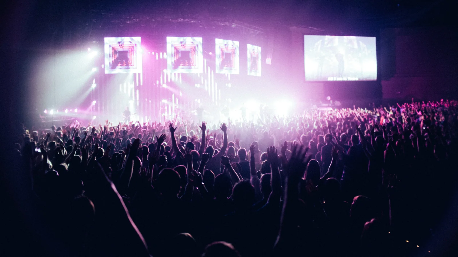 Live Culture præsenterer årets sidste koncerter