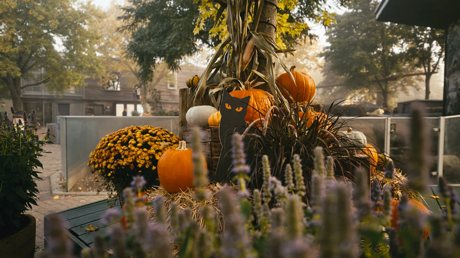 Oplev Halloween i ZOO i weekenden