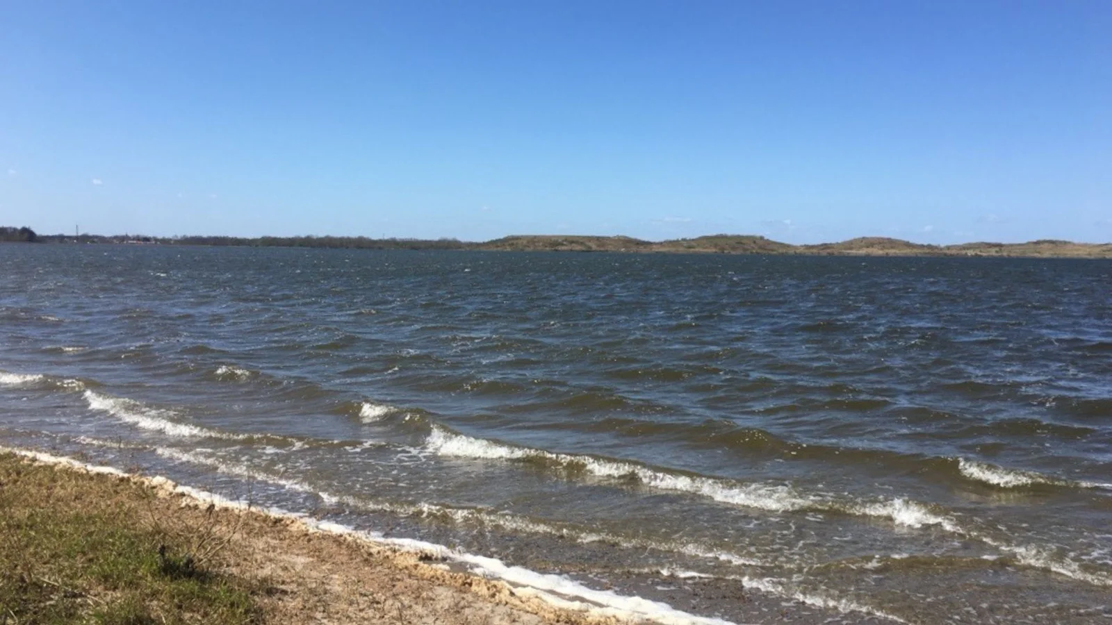 Kystvandråd: Genopbygningen af Odense Fjord bliver svær og dyr – men er ikke umulig