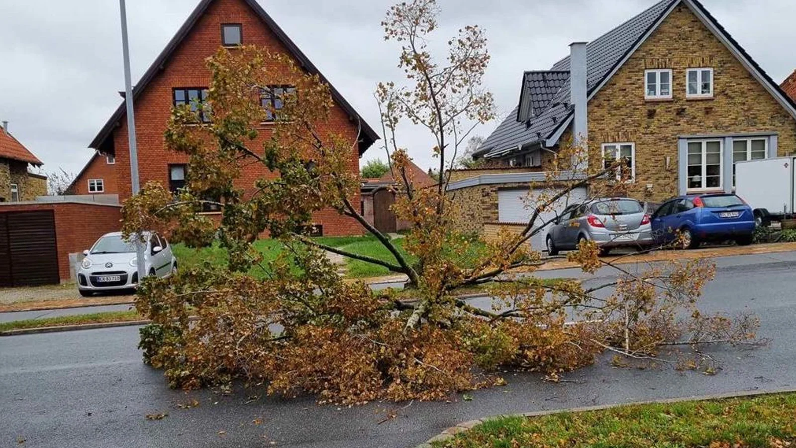 Oprydningsarbejdet efter stormvejret er i gang