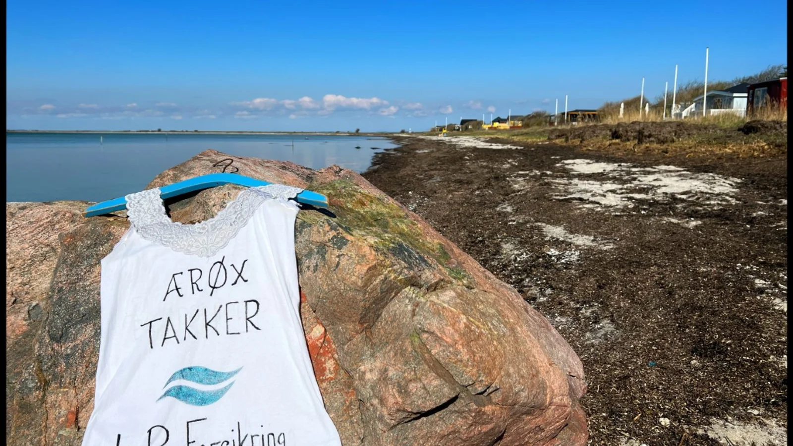 Lokal donation fra LB Foreningen skal øge Ærøs engagement i den grønne dagsorden