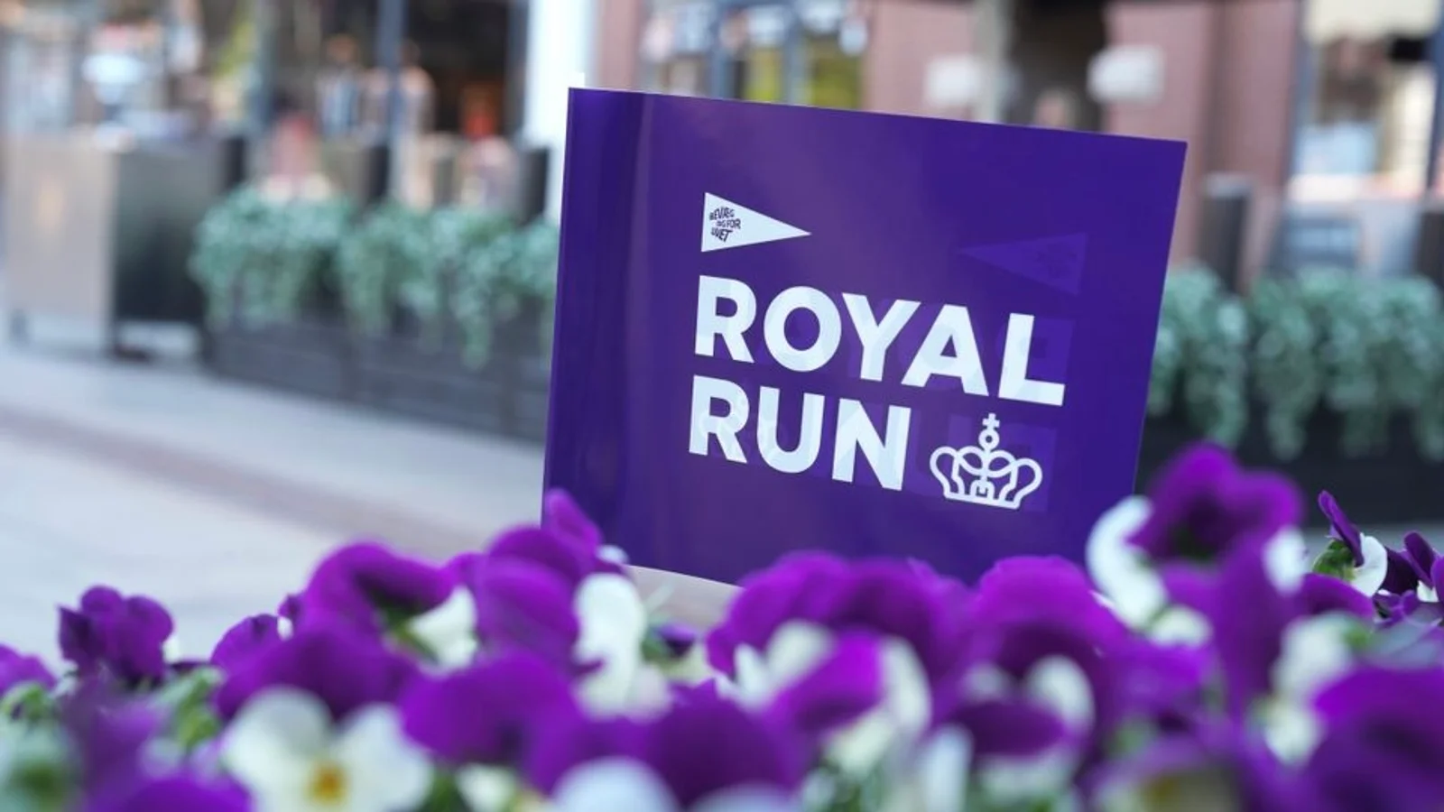 Ribe er klar til Royal Run: Her er alt, hvad du skal vide om den store motionsfest
