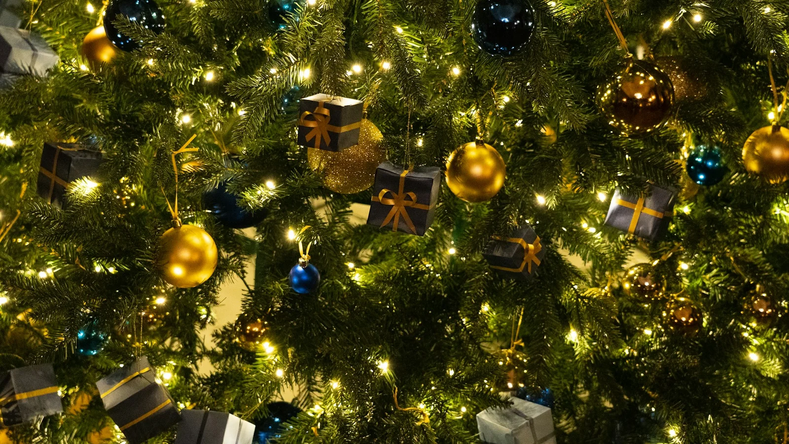 Energiselskabet Elg forkæler lokale i Svendborg med et juletræ, hvis de tilmelder sig SvendborgPower inden 20. december