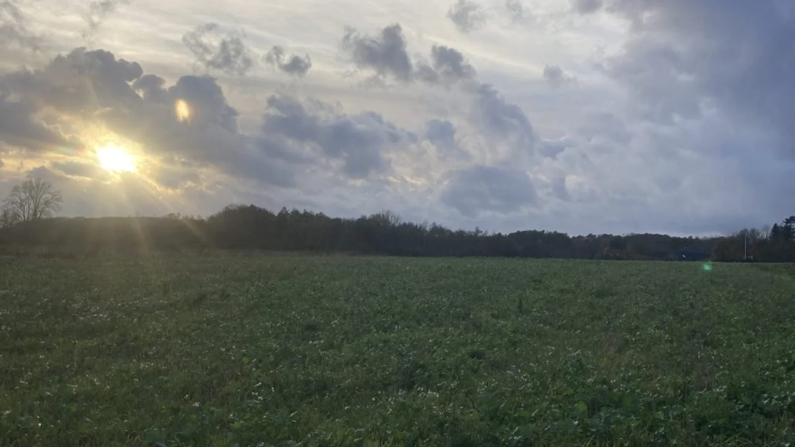 Åben gård på Den Lille Mark d. 15. juni