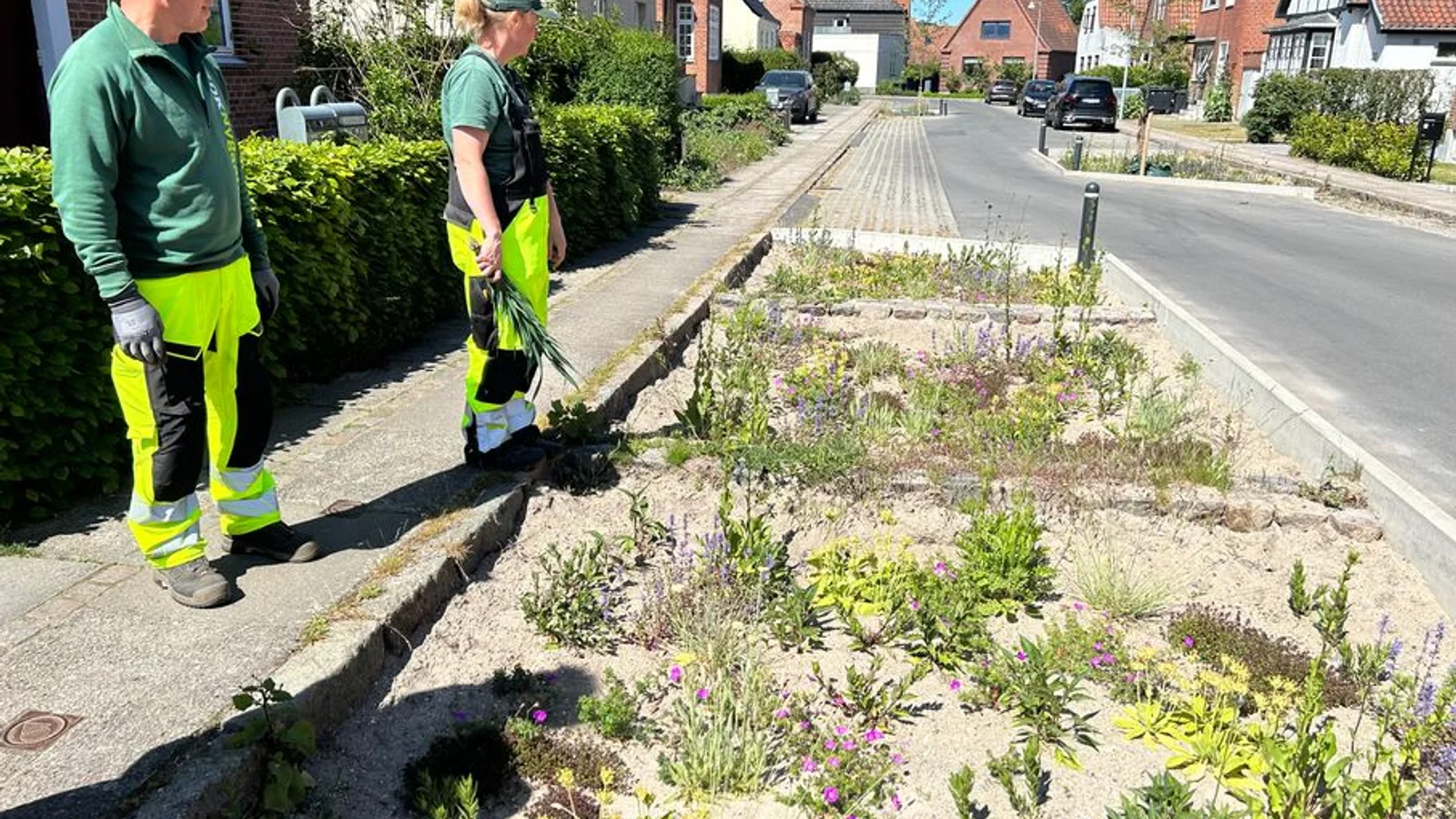 Med nye samarbejdsformer baner OKNygaard vejen for biodiversitet