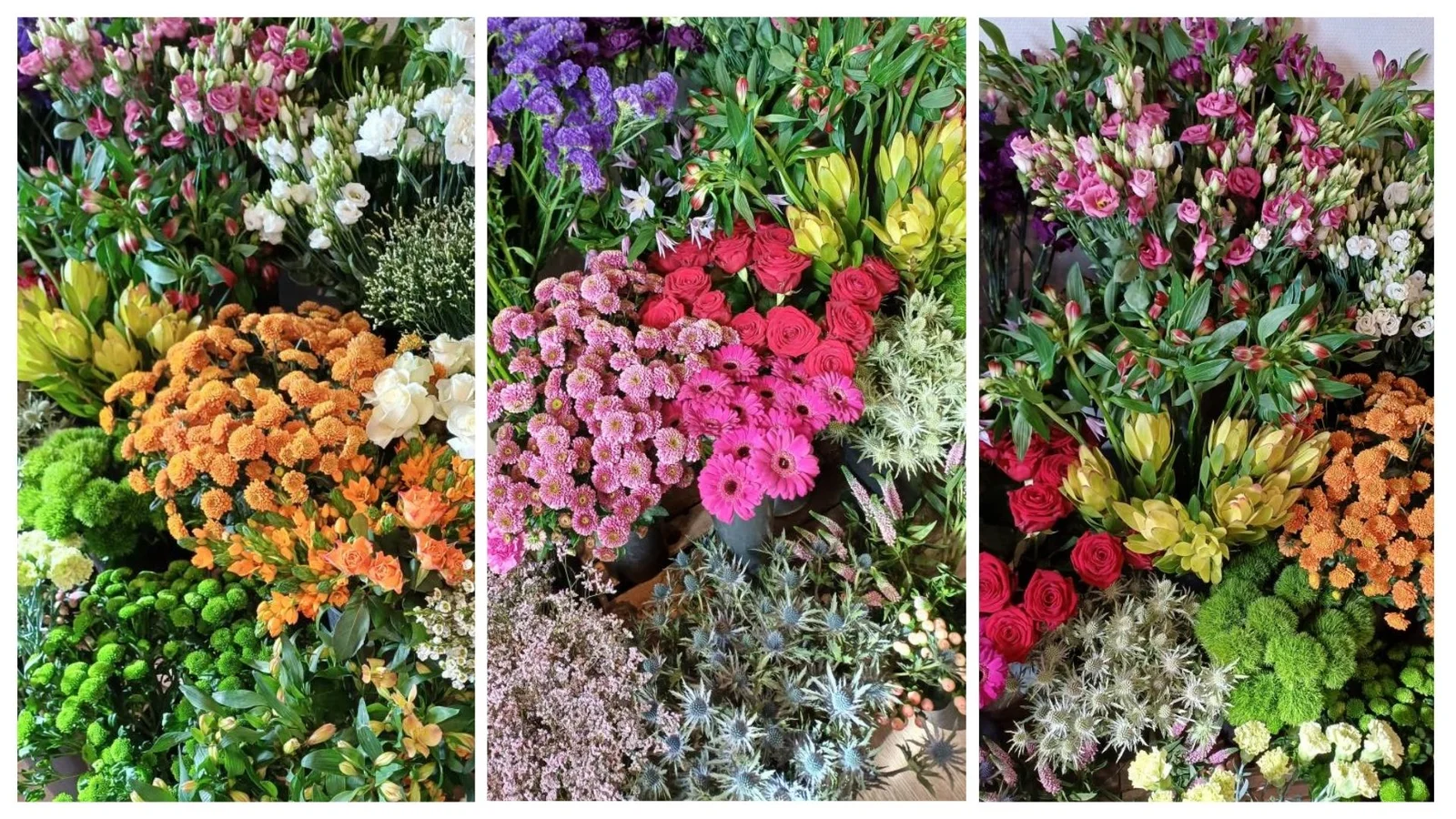 Blomsterpigerne Stenstrup fylder 1 år