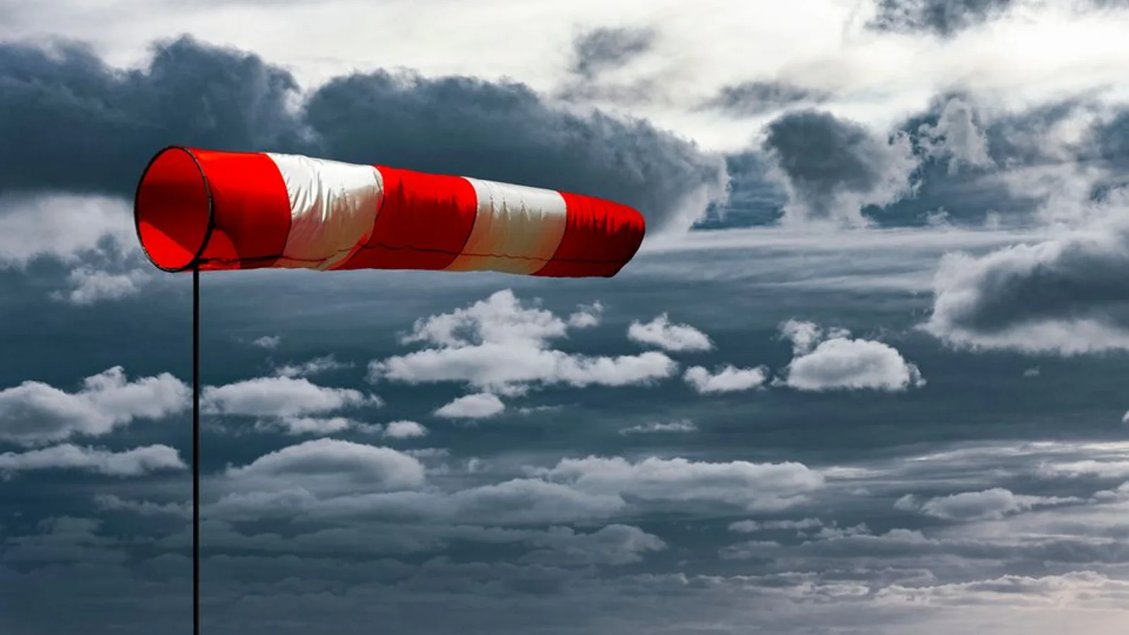 Ærø har flest stormskader i Region Syddanmark i 2023