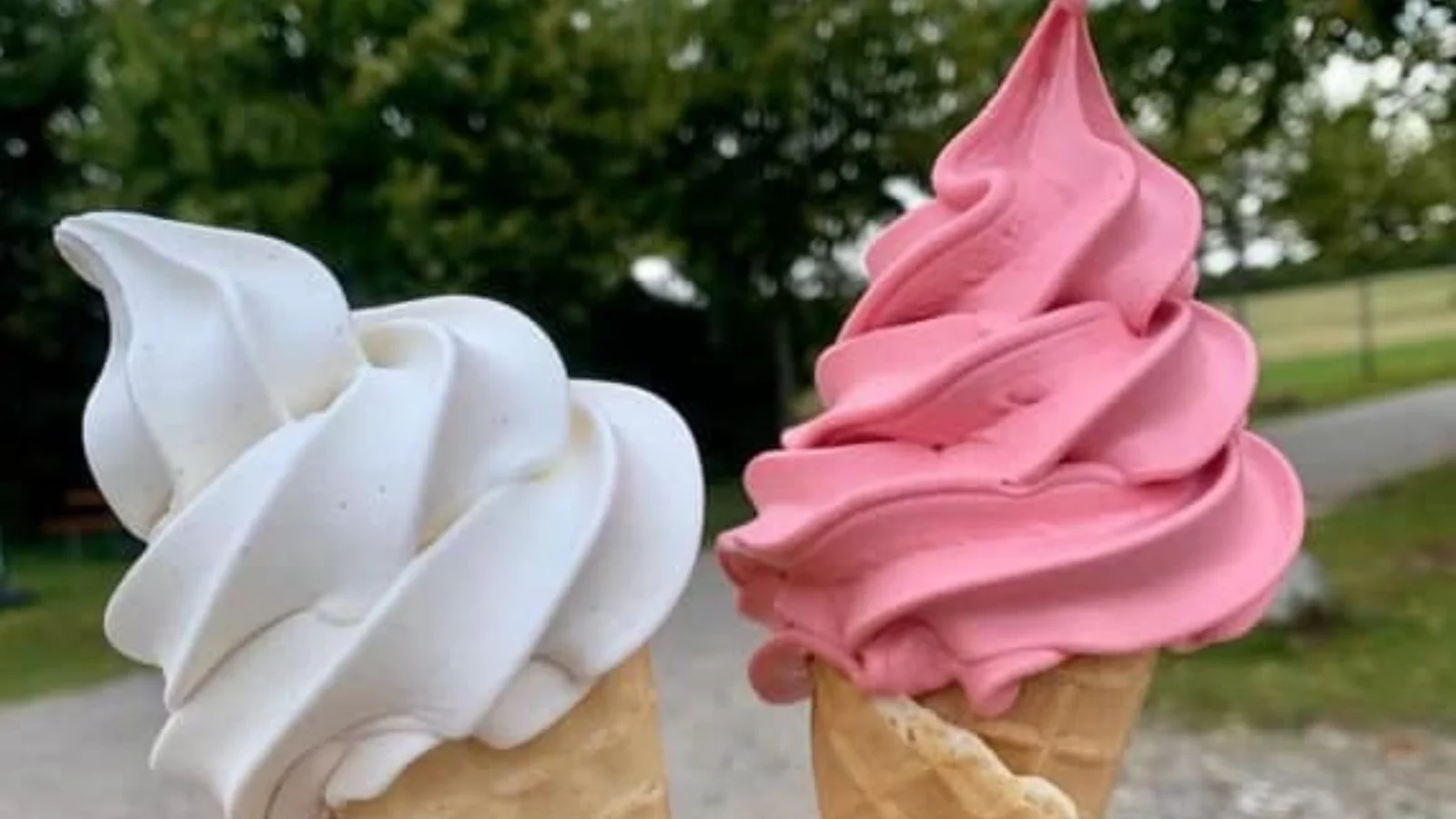 Nu kan desserten også købes hos Snoghøj Grillen