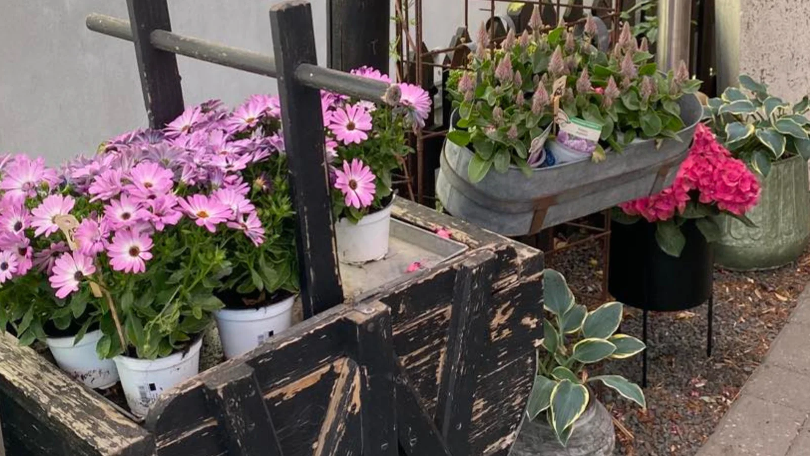 Sommersalg hos No. 125: Stærke tilbud på både planter og brugskunst
