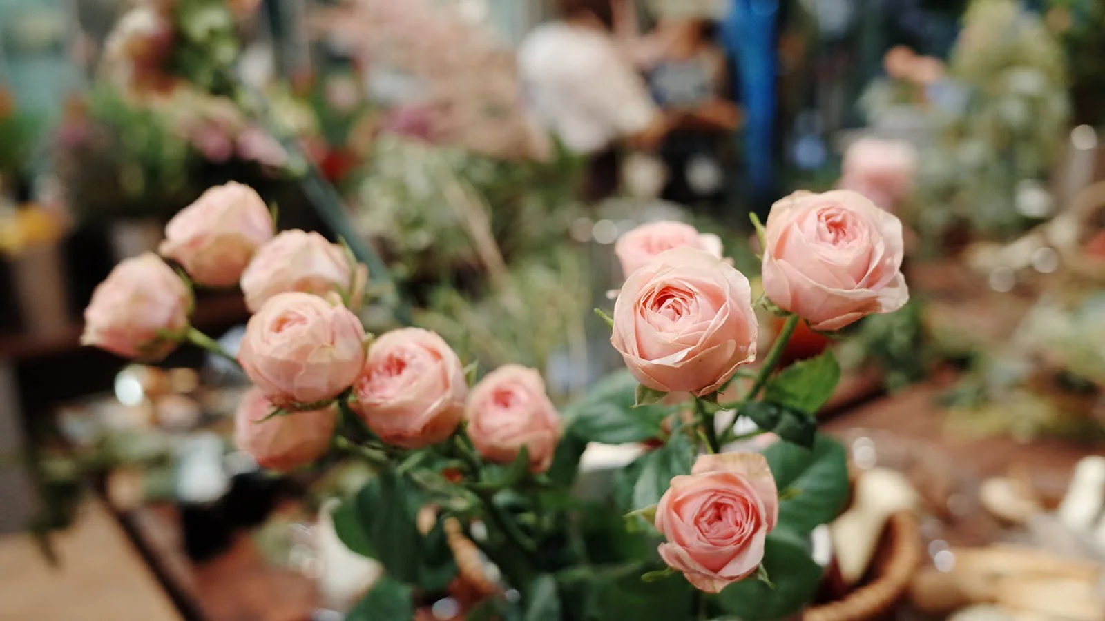 Succesfuld blomsterbinder åbner sin tredje butik i Hjørring