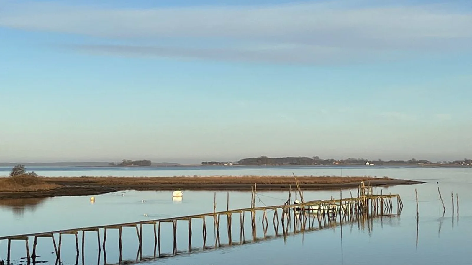 A.P. Møller Fonden giver 110 mio. kr. til naturpark i og uden for Horsens Fjord