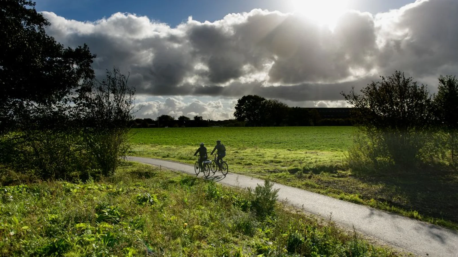 Kolding Kommune inviterer borgere til at forme fremtidens cykelforhold