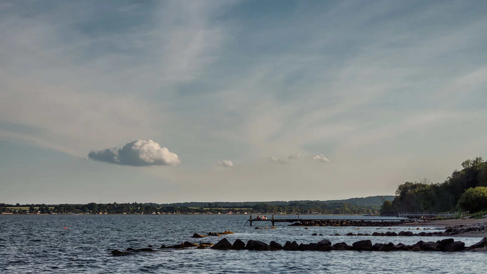 3,3 mio. kr. til Horsens Fjord: Nyt projekt skal genskabe liv i havet