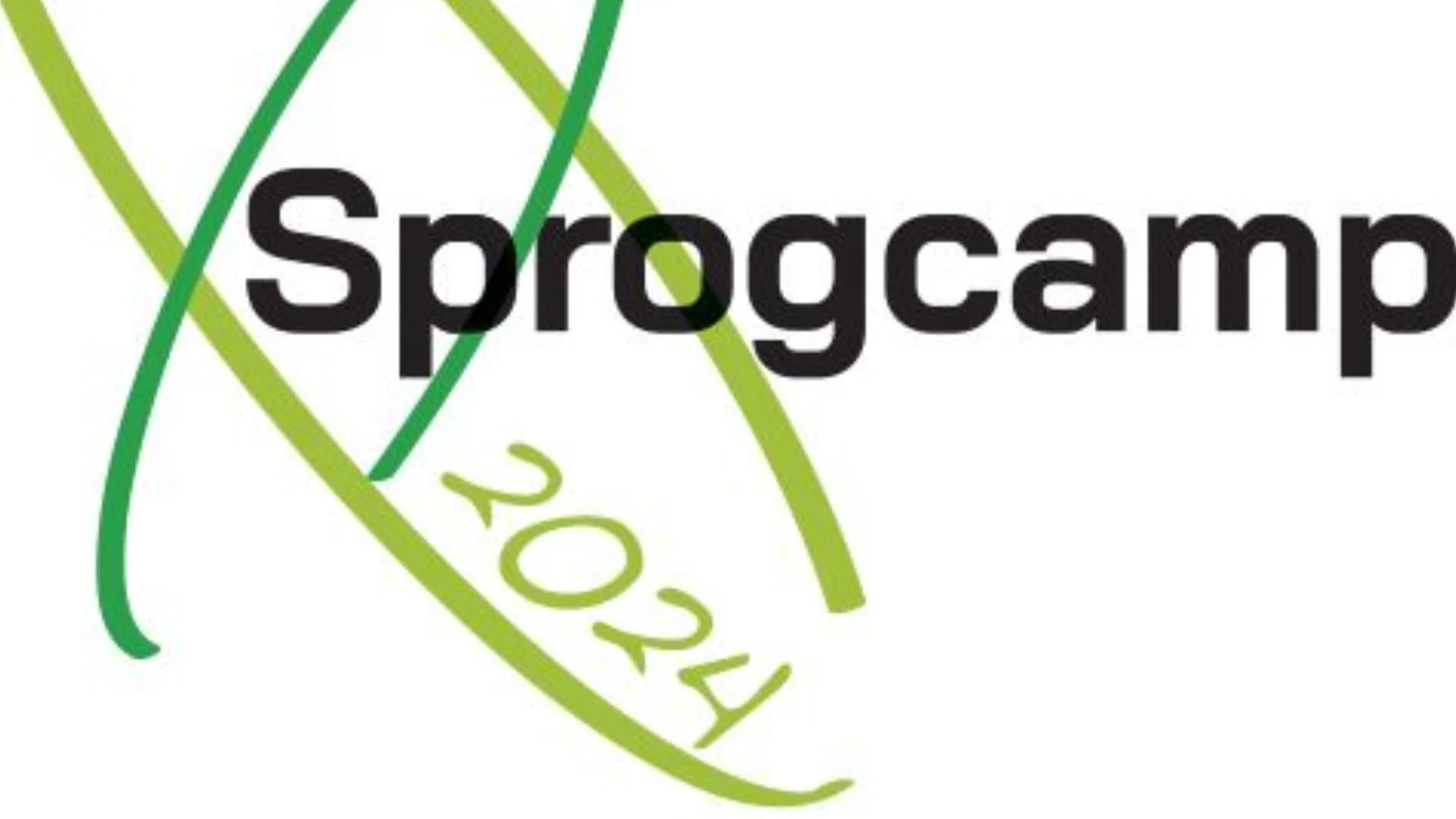 200 gymnasieelever samles til sprogcamp i Nordjylland