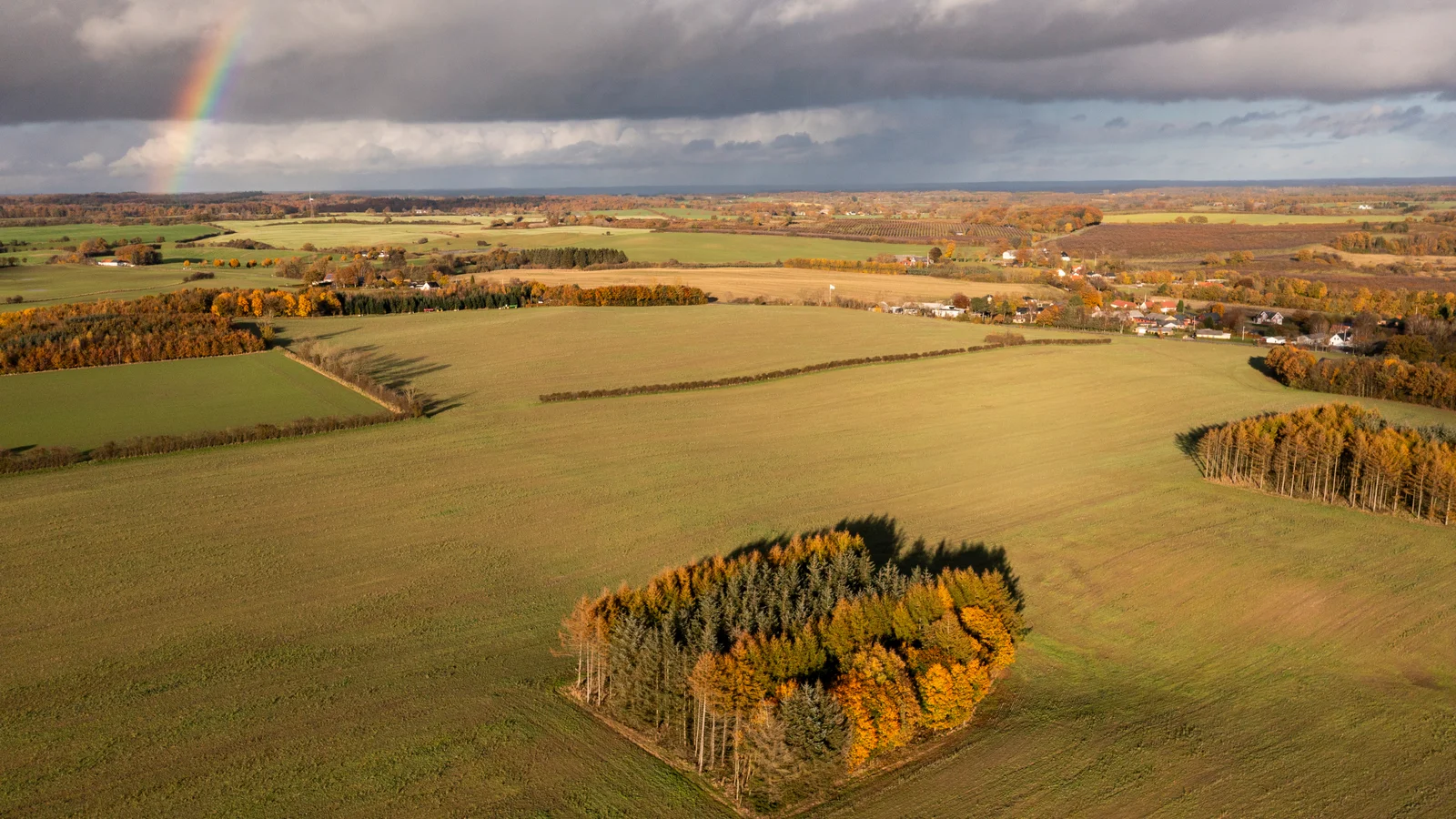 Klimaskovfonden sikrer mere skov og natur i Kolding