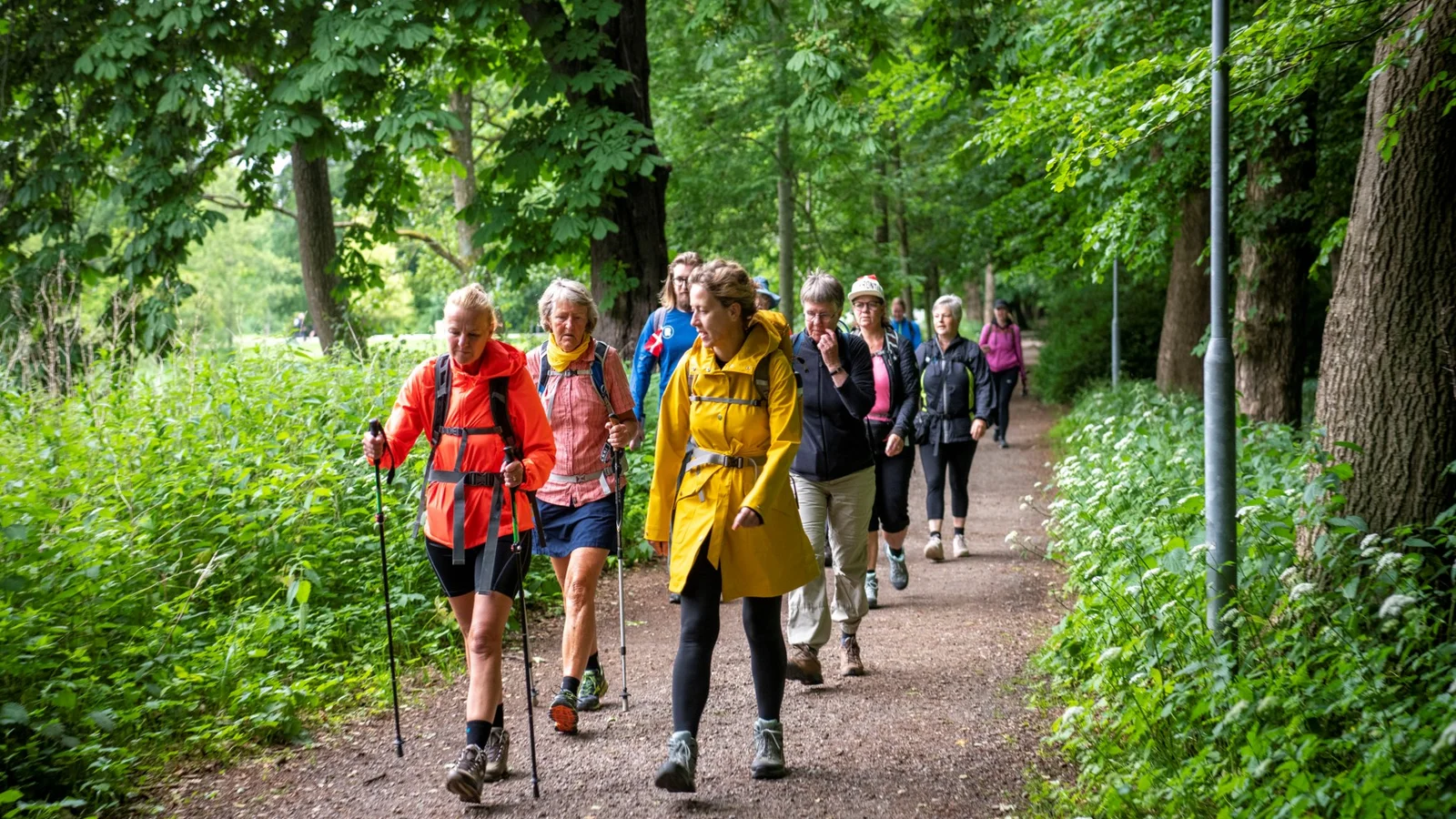 Tønder Kommune fortsætter med at bevæge sig for livet – og alle skal med