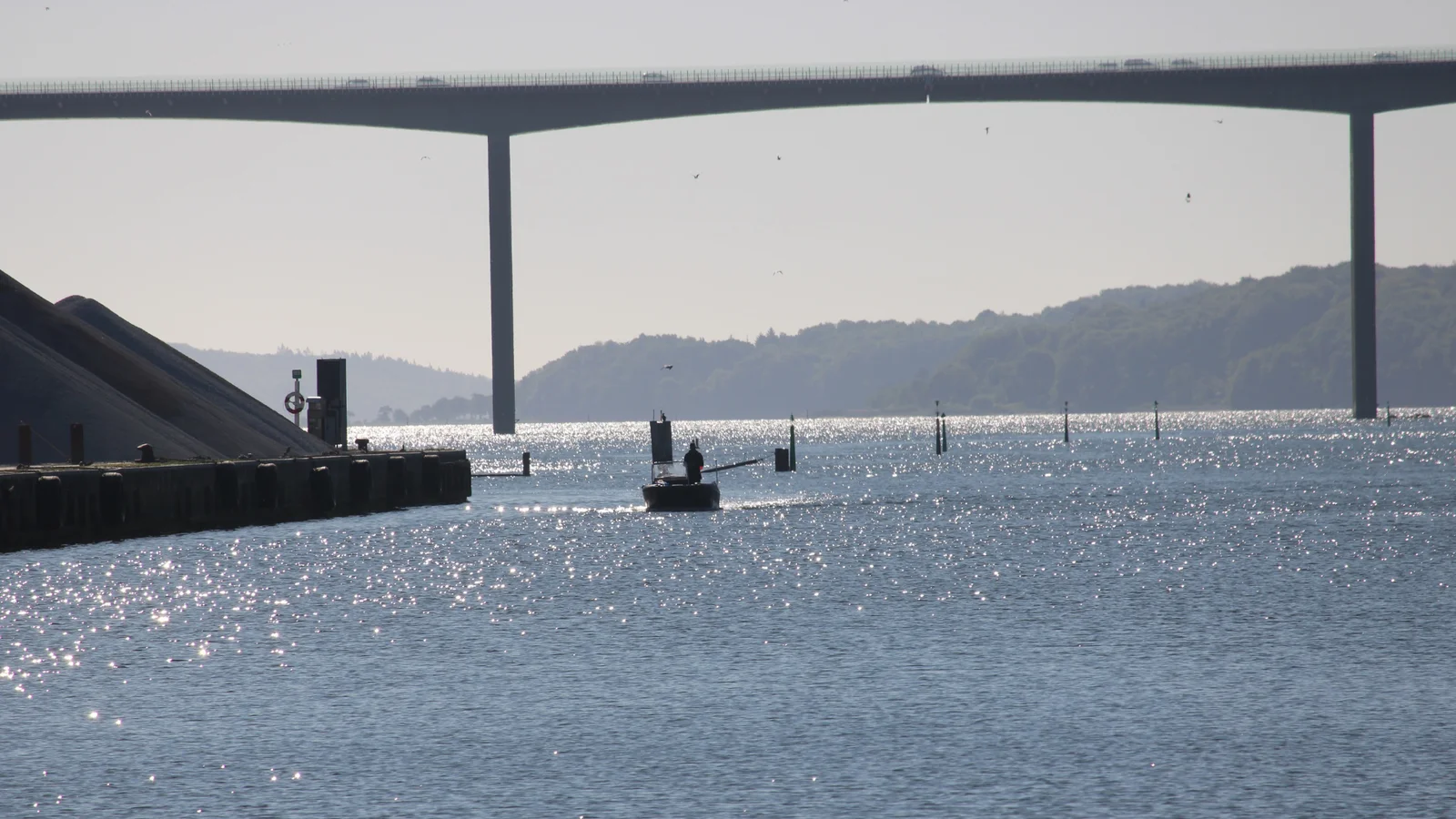 Spildevand sætter tydelige spor i Vejle Fjord