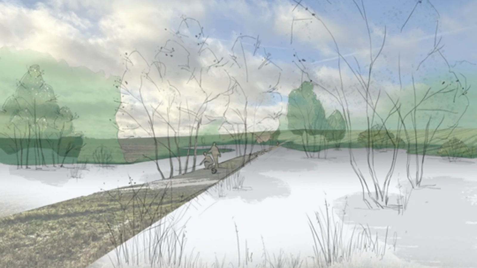 Kom med på tur i fremtidens skov, når planerne for Højballe Skov præsenteres