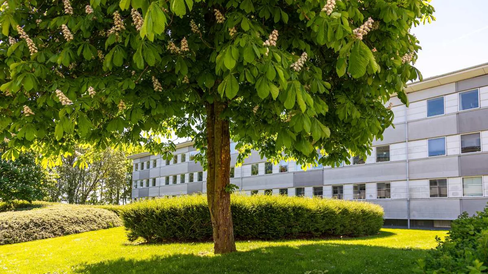 Naturens Uge i Kolding: gratis naturoplevelser for alle