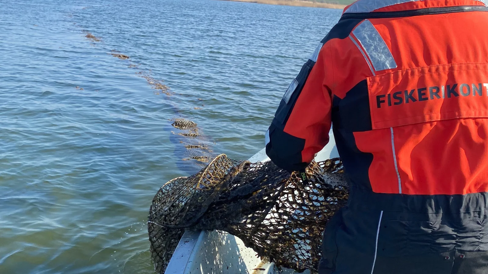 Fiskerikontrollen fjerner ulovlige ruser ved Als