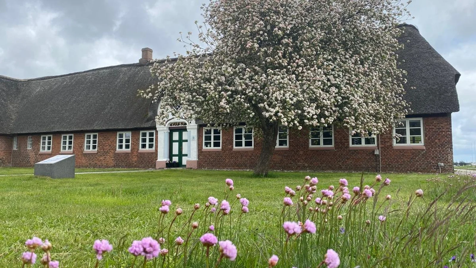 Milliondonation til ambitiøs udvikling af Naturcenter Tønnisgård på Rømø