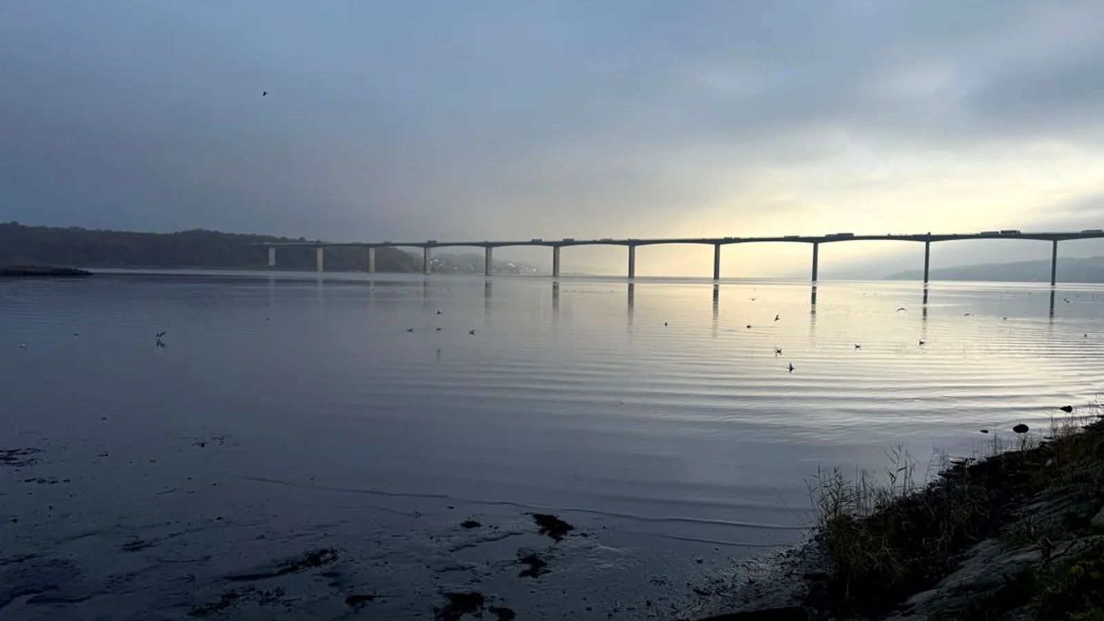 Nyt liv til Vejle Fjord: Genopretning af fjordens havmiljø fortsætter