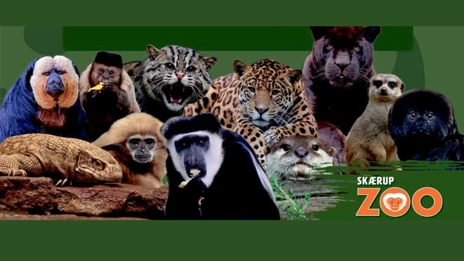 Få en brølende god reklameplads i Skærup Zoo