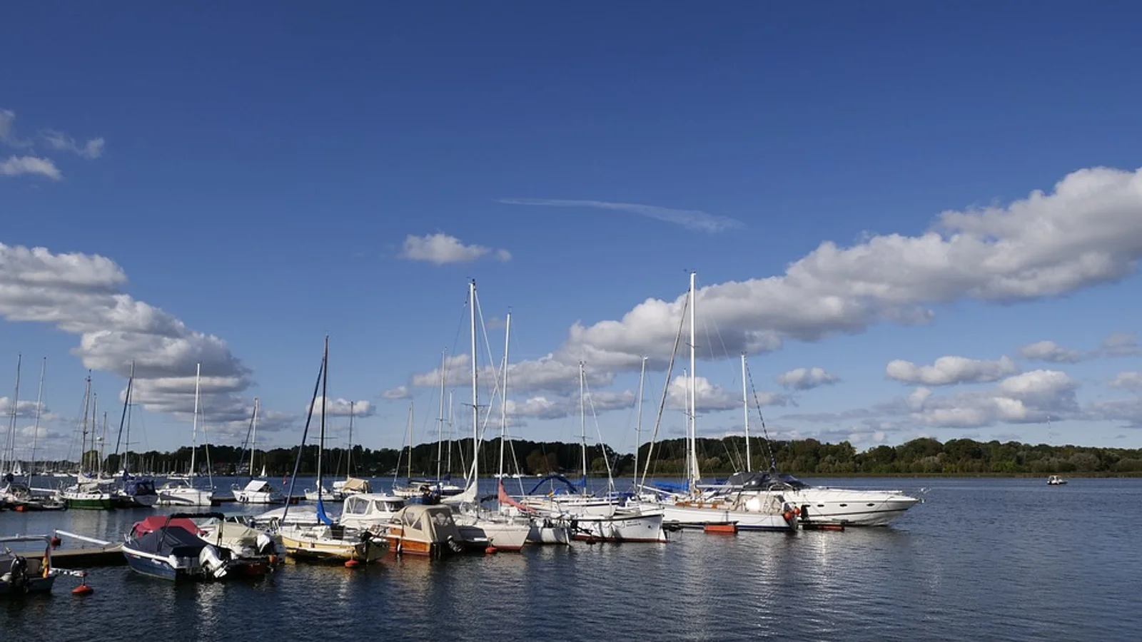 Nærmere undersøgelse af lugt og natlig støj ved Marina City