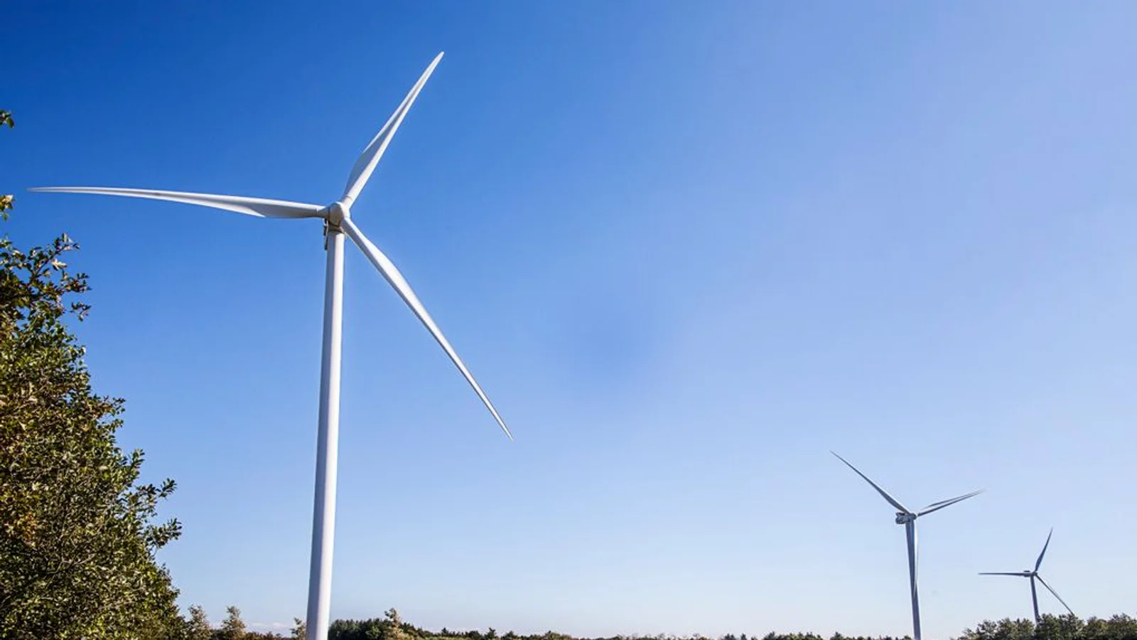 Grønt lys til ny energipark: 15 vindmøller og 80 hektar solceller