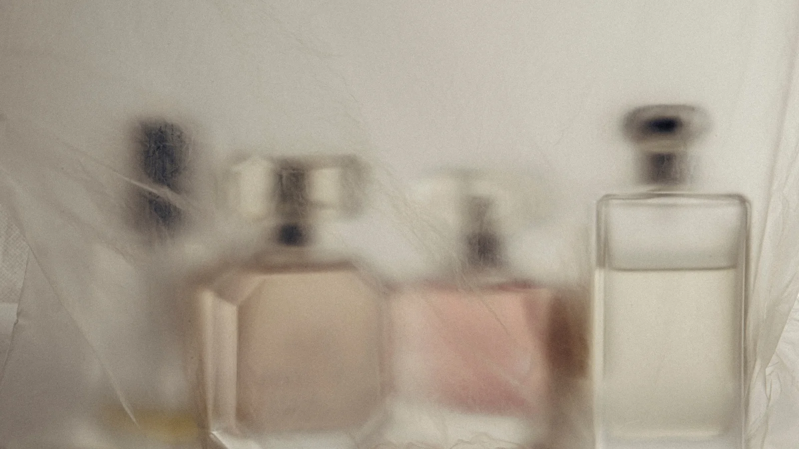 Organiserede butikstyve anholdt