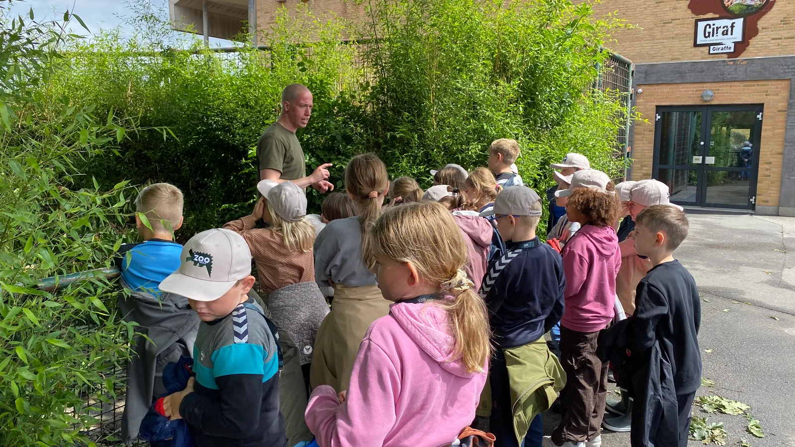 33.000 børn og unge kan komme gratis i Zoo i år