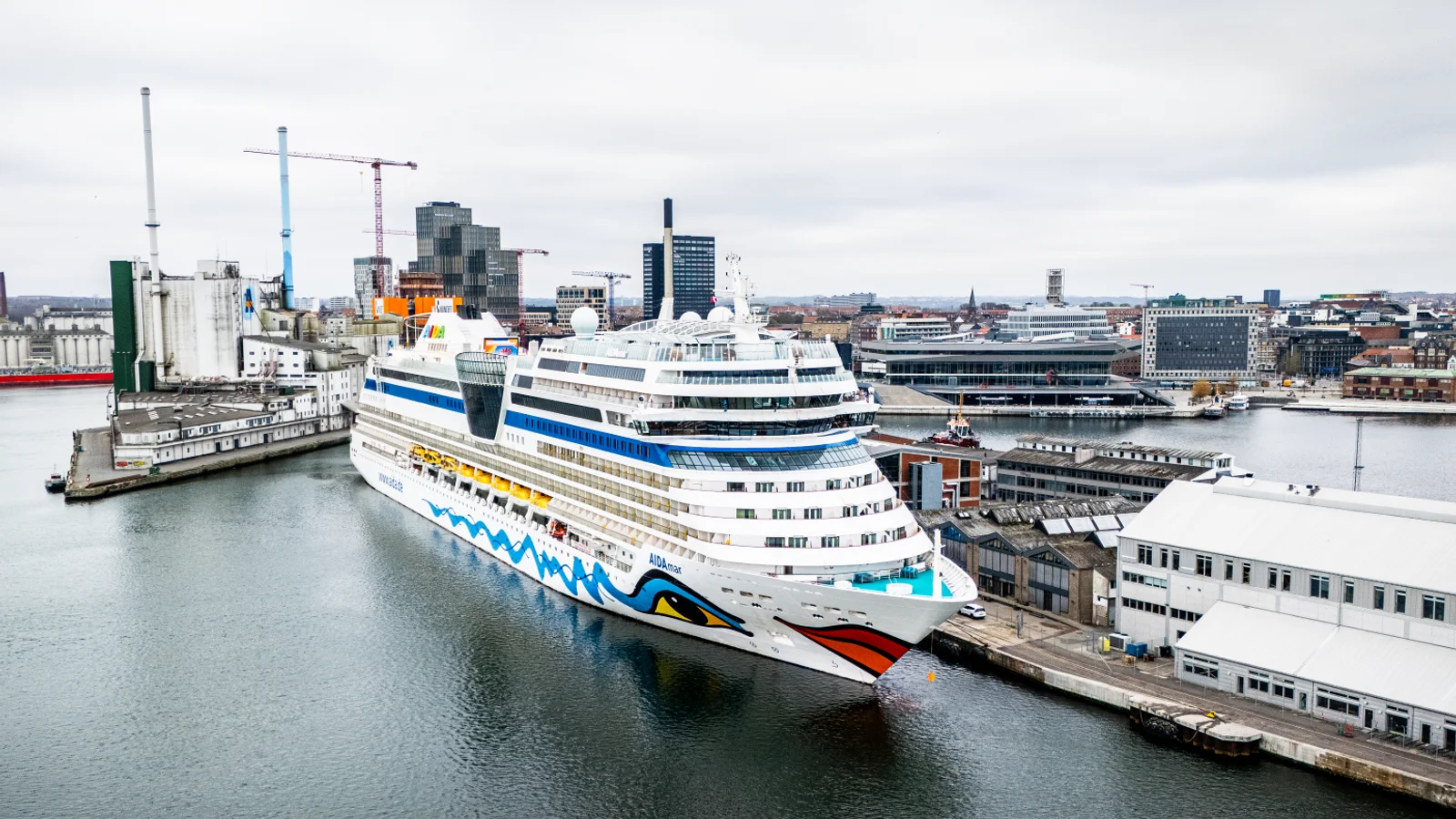 Aarhus går ind i årets travleste krydstogtuge: Over 16.000 gæster går i land